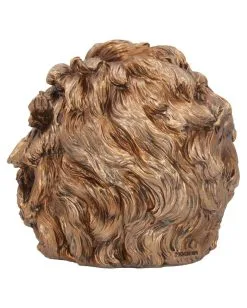 Albert Einstein Totenschädel 21cm -Halloween Geschäft albert einstein totenkopf albert einstein totenschaedel albert einstein skull 54562 04