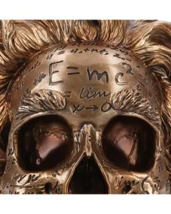 Albert Einstein Totenschädel 21cm -Halloween Geschäft albert einstein totenkopf albert einstein totenschaedel albert einstein skull 54562 05