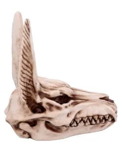 Anubis Totenschädel Figur 17cm -Halloween Geschäft anubis totenkopf figur anubis totenschaedel figur anubis skull figurine 51020 04