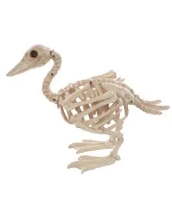 Skelett Baby Ente 19cm -Halloween Geschäft baby skelett ente skeleton baby duck halloween duck 52639 03