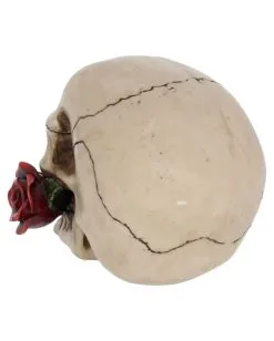 Beiger Totenschädel Mit Roter Rose 15cm -Halloween Geschäft beiger totenkopf mit roter rose beiger totenschaedel mit roter rose antic skull with red rose 53389 04