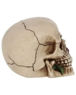 Beiger Totenschädel Mit Roter Rose 15cm -Halloween Geschäft beiger totenkopf mit roter rose beiger totenschaedel mit roter rose antic skull with red rose 53389 06