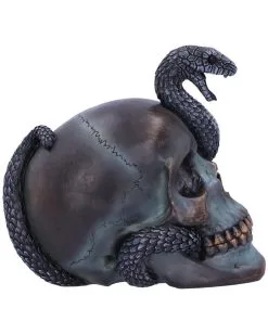 Schuppige Schlange In Totenkopf 19cm -Halloween Geschäft das schicksal der schlange gothic schaedel 19cm serpentine fate gothic snake skull gothic deko totenkopf 53993 4