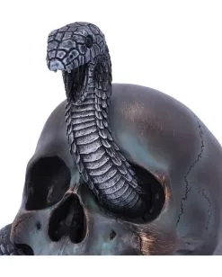Schuppige Schlange In Totenkopf 19cm -Halloween Geschäft das schicksal der schlange gothic schaedel 19cm serpentine fate gothic snake skull gothic deko totenkopf 53993 5