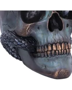 Schuppige Schlange In Totenkopf 19cm -Halloween Geschäft das schicksal der schlange gothic schaedel 19cm serpentine fate gothic snake skull gothic deko totenkopf 53993 6