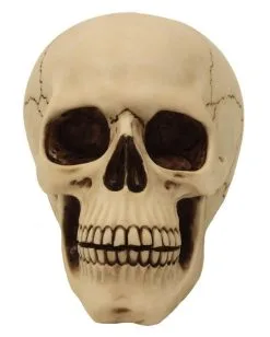 Graveyard Totenschädel Large -Halloween Geschäft graveyard totenkopf large graveyard totenschaedel graveyard skull large gothic deko 52351 02