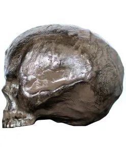 Halloween -Halloween Geschäft halloween totenschaedel vermodert rotten halloween skull totenkopf horror dekoration 52601 2