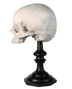 J. DOE Totenschädel Auf Sockel 20cm -Halloween Geschäft j doe totenkopf auf sockel j doe totenschaedel auf sockel j doe skull plinth gothic homware 54857 02