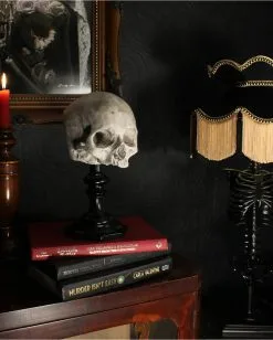 J. DOE Totenschädel Auf Sockel 20cm -Halloween Geschäft j doe totenkopf auf sockel j doe totenschaedel auf sockel j doe skull plinth gothic homware 54857 05