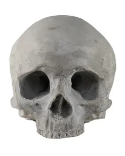 J. DOE Totenschädel 17cm -Halloween Geschäft j doe totenkopf j doe totenschaedel ghotic totenkopf gothic wohnaccessoire gothic homware 54856 03