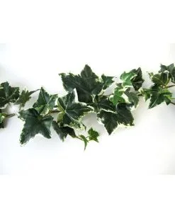 Mehrfarbige Efeugirlande 180cm -Halloween Geschäft mehrfarbige efeugirlande halloween efuegirlande variegarted ivy garland halloween deko 53712 03