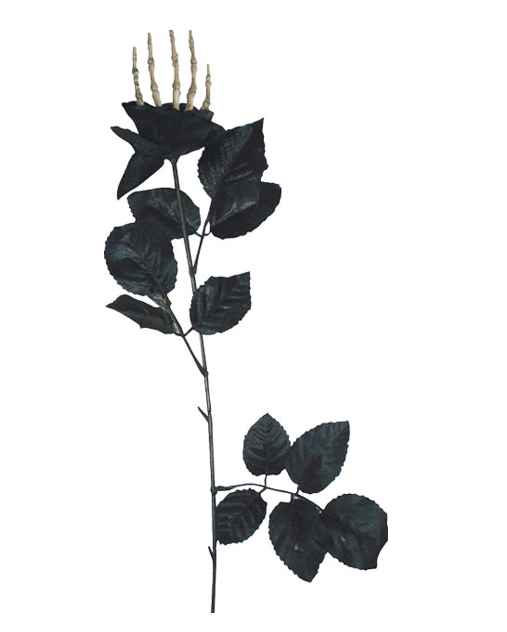 Schwarze Rose Mit Knochenhand 2 Schwarze Rose Mit Knochenhand – Bild 2