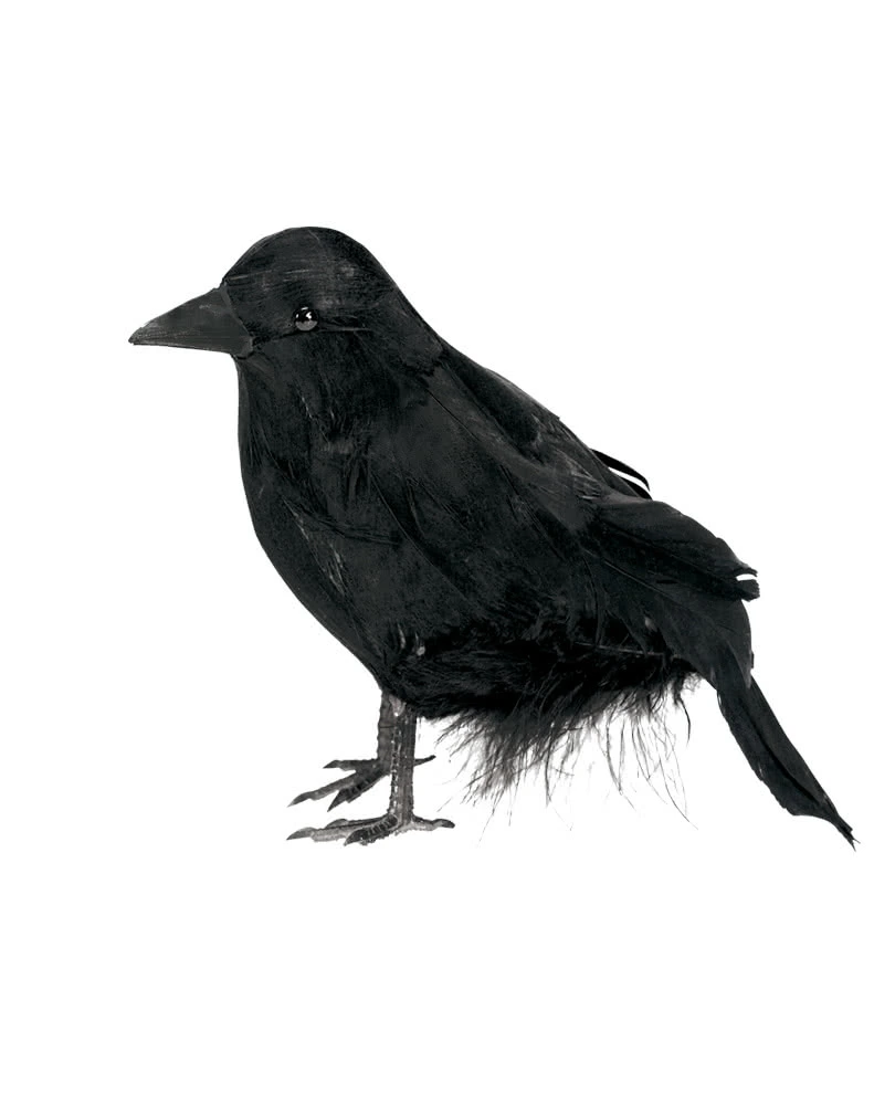 Schwarzer Rabe 15 Cm 1 Schwarzer Rabe 15 Cm