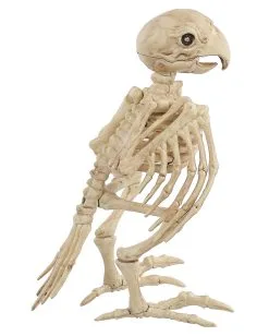 Papagei Skelett 19cm -Halloween Geschäft skelett papagei skeleton parrot halloween dekoration 52638 03