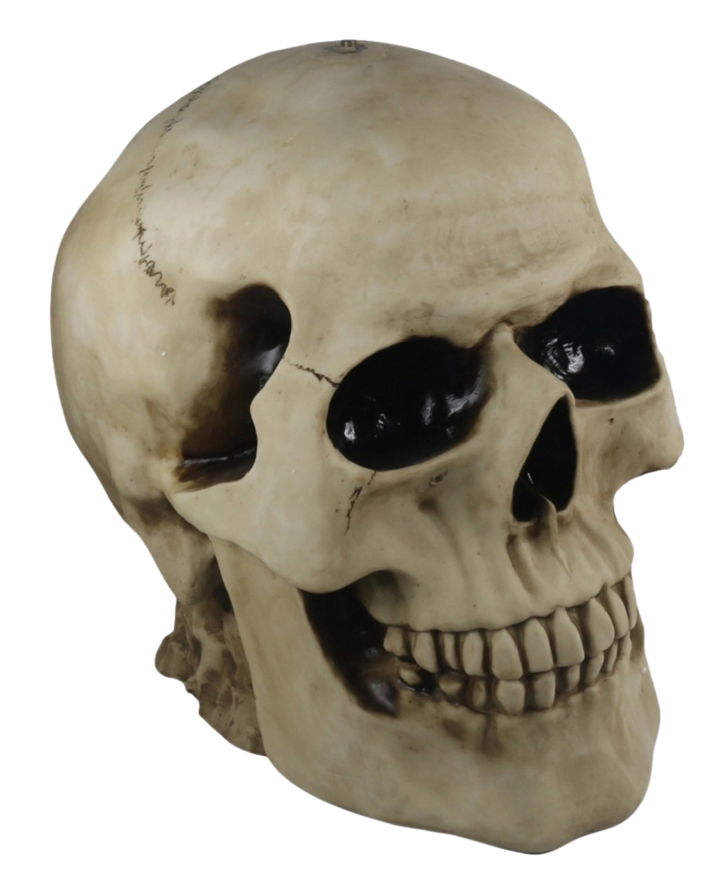 Totenschädel Tisch Mit Glasplatte 56,5cm 2 Totenschädel Tisch Mit Glasplatte 56,5cm – Bild 2