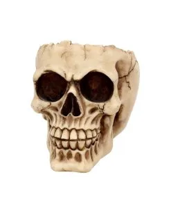 Realistische Totenschädel Schale Mit Offener Schädeldecke -Halloween Geschäft totenschaedel schale mit offener schaedeldecke realistic skull mug morbide gothic deko halloween deko totenschaedel 39289 3