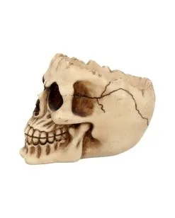 Realistische Totenschädel Schale Mit Offener Schädeldecke -Halloween Geschäft totenschaedel schale mit offener schaedeldecke realistic skull mug morbide gothic deko halloween deko totenschaedel 39289 4