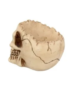 Realistische Totenschädel Schale Mit Offener Schädeldecke -Halloween Geschäft totenschaedel schale mit offener schaedeldecke realistic skull mug morbide gothic deko halloween deko totenschaedel 39289 5