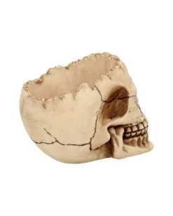 Realistische Totenschädel Schale Mit Offener Schädeldecke -Halloween Geschäft totenschaedel schale mit offener schaedeldecke realistic skull mug morbide gothic deko halloween deko totenschaedel 39289 6