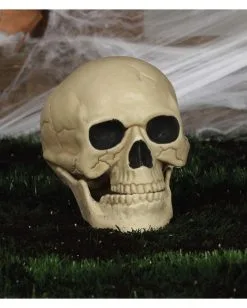 Wetterfester Totenschädel Mit Beweglichem Kiefer 20cm -Halloween Geschäft wetterfester totenkopf mit beweglichem kiefer weatherproof skull with moveable jaw halloween totenschaedel 53405 04