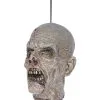 Abgetrennter Zombie Schädel Aus Latex